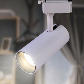 Светильник на штанге Эра  TR5-10 COB WH в Коротчаево - korotchaevo.ok-mebel.com | фото 3