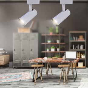 Светильник на штанге Эра  TR5-20 COB WH в Коротчаево - korotchaevo.ok-mebel.com | фото 4
