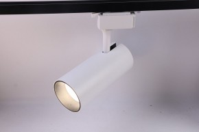 Светильник на штанге Эра  TR5-30 COB WH в Коротчаево - korotchaevo.ok-mebel.com | фото 2