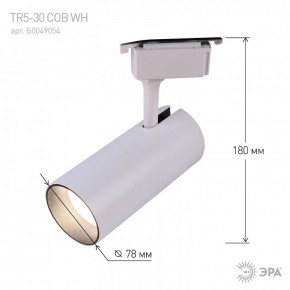 Светильник на штанге Эра  TR5-30 COB WH в Коротчаево - korotchaevo.ok-mebel.com | фото 6