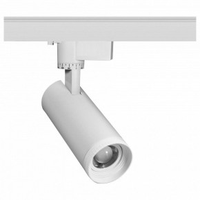 Светильник на штанге Эра  TR59 - 2030 WH в Коротчаево - korotchaevo.ok-mebel.com | фото