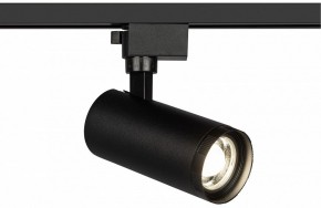 Светильник на штанге Эра  TR59 - 2040 BK в Коротчаево - korotchaevo.ok-mebel.com | фото