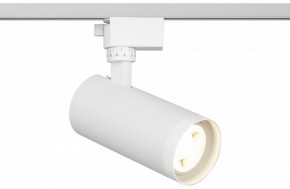 Светильник на штанге Эра  TR59 - 2040 WH в Коротчаево - korotchaevo.ok-mebel.com | фото