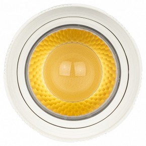 Светильник на штанге Эра  TR59 - 2040 WH в Коротчаево - korotchaevo.ok-mebel.com | фото 3