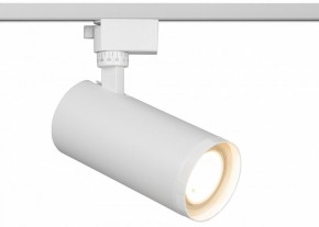 Светильник на штанге Эра  TR59 - 3030 WH в Коротчаево - korotchaevo.ok-mebel.com | фото