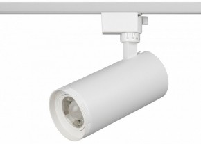 Светильник на штанге Эра  TR59 - 3030 WH в Коротчаево - korotchaevo.ok-mebel.com | фото 2
