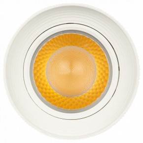 Светильник на штанге Эра  TR59 - 3030 WH в Коротчаево - korotchaevo.ok-mebel.com | фото 3