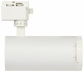 Светильник на штанге Эра  TR59 - 3030 WH в Коротчаево - korotchaevo.ok-mebel.com | фото 4