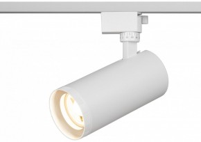 Светильник на штанге Эра  TR59 - 3030 WH в Коротчаево - korotchaevo.ok-mebel.com | фото 5