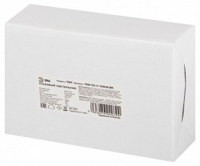 Светильник на штанге Эра  TRM-S5-3-12W4K-BK в Коротчаево - korotchaevo.ok-mebel.com | фото 8