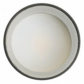 Светильник на штанге Feron ML1001 51371 в Коротчаево - korotchaevo.ok-mebel.com | фото 4