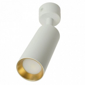 Светильник на штанге Feron ML1011 51380 в Коротчаево - korotchaevo.ok-mebel.com | фото 9