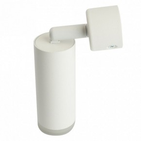 Светильник на штанге Feron ML1021 51390 в Коротчаево - korotchaevo.ok-mebel.com | фото 3