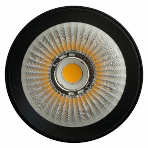 Светильник на штанге Feron TR Reflex 52059 в Коротчаево - korotchaevo.ok-mebel.com | фото 12