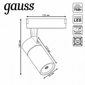 Светильник на штанге Gauss Track Light TR060 в Коротчаево - korotchaevo.ok-mebel.com | фото 5