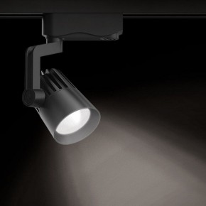 Светильник на штанге Gauss Track Light TR061 в Коротчаево - korotchaevo.ok-mebel.com | фото 2