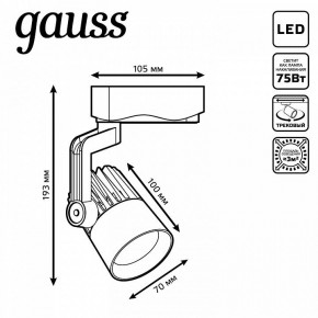 Светильник на штанге Gauss Track Light TR061 в Коротчаево - korotchaevo.ok-mebel.com | фото 6