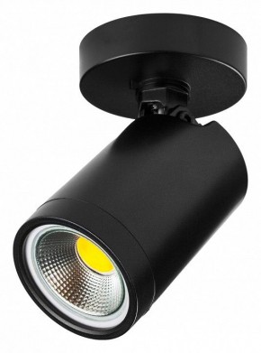 Светильник на штанге Lightstar Rullo 213407 в Коротчаево - korotchaevo.ok-mebel.com | фото