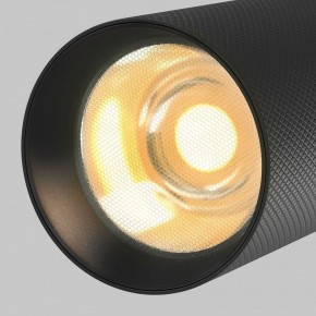 Светильник на штанге Maytoni Artisan TR097-2-12W2.7K-M-BB в Коротчаево - korotchaevo.ok-mebel.com | фото 9
