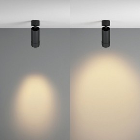 Светильник на штанге Maytoni Focus Zoom C055CL-L12W2.7K-Z-B в Коротчаево - korotchaevo.ok-mebel.com | фото 3