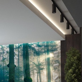 Светильник на штанге Novotech Dep 358593 в Коротчаево - korotchaevo.ok-mebel.com | фото 4