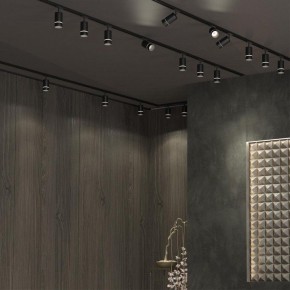 Светильник на штанге Novotech Elina 370777 в Коротчаево - korotchaevo.ok-mebel.com | фото 4