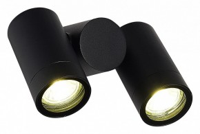 Светильник на штанге ST-Luce Ecollo SL9011.402.02 в Коротчаево - korotchaevo.ok-mebel.com | фото 3