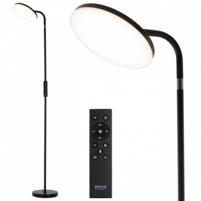 Торшер Citilux SOLO CL804061 в Коротчаево - korotchaevo.ok-mebel.com | фото 2