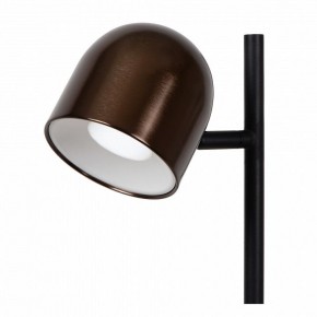 Торшер Lucide Skanska Rech 03749/03/96 в Коротчаево - korotchaevo.ok-mebel.com | фото 3