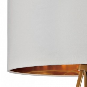Торшер Lumion Tapioka 8077/1F в Коротчаево - korotchaevo.ok-mebel.com | фото 6