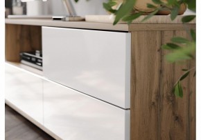 Тумба под ТВ Маллоу в Коротчаево - korotchaevo.ok-mebel.com | фото 4