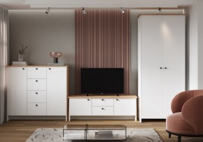 Тумба под ТВ Теодора в Коротчаево - korotchaevo.ok-mebel.com | фото 4
