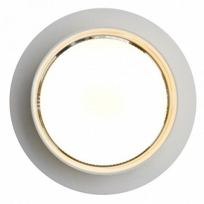 Встраиваемый светильник Feron DL502 51089 в Коротчаево - korotchaevo.ok-mebel.com | фото 5
