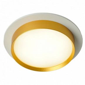Встраиваемый светильник Feron DL507 51354 в Коротчаево - korotchaevo.ok-mebel.com | фото 3